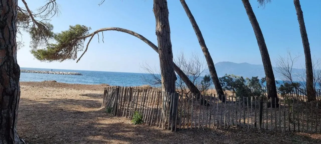 Apartment Saint-Mandrier-Sur Mer Pin Rolland Joli Studio Plage Vacances